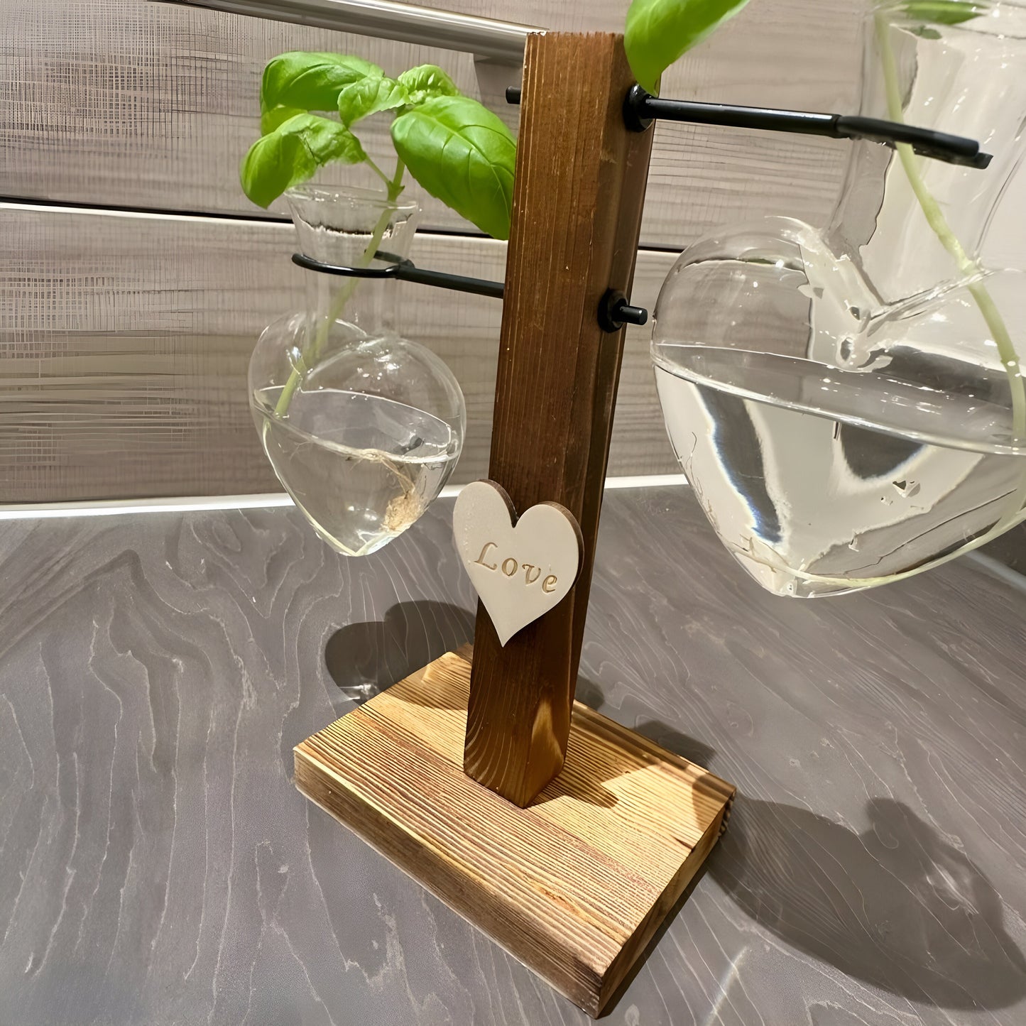 Hydroponic Plant Vase - Heart Shaped Valentines Vases Plant Cuttings Vase Wooden Stand Propagation Station Glass Desk Hydroponic System