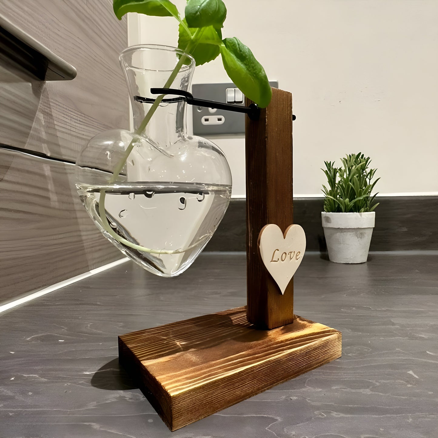 Hydroponic Plant Vase - Heart Shaped Valentines Vases Plant Cuttings Vase Wooden Stand Propagation Station Glass Desk Hydroponic System