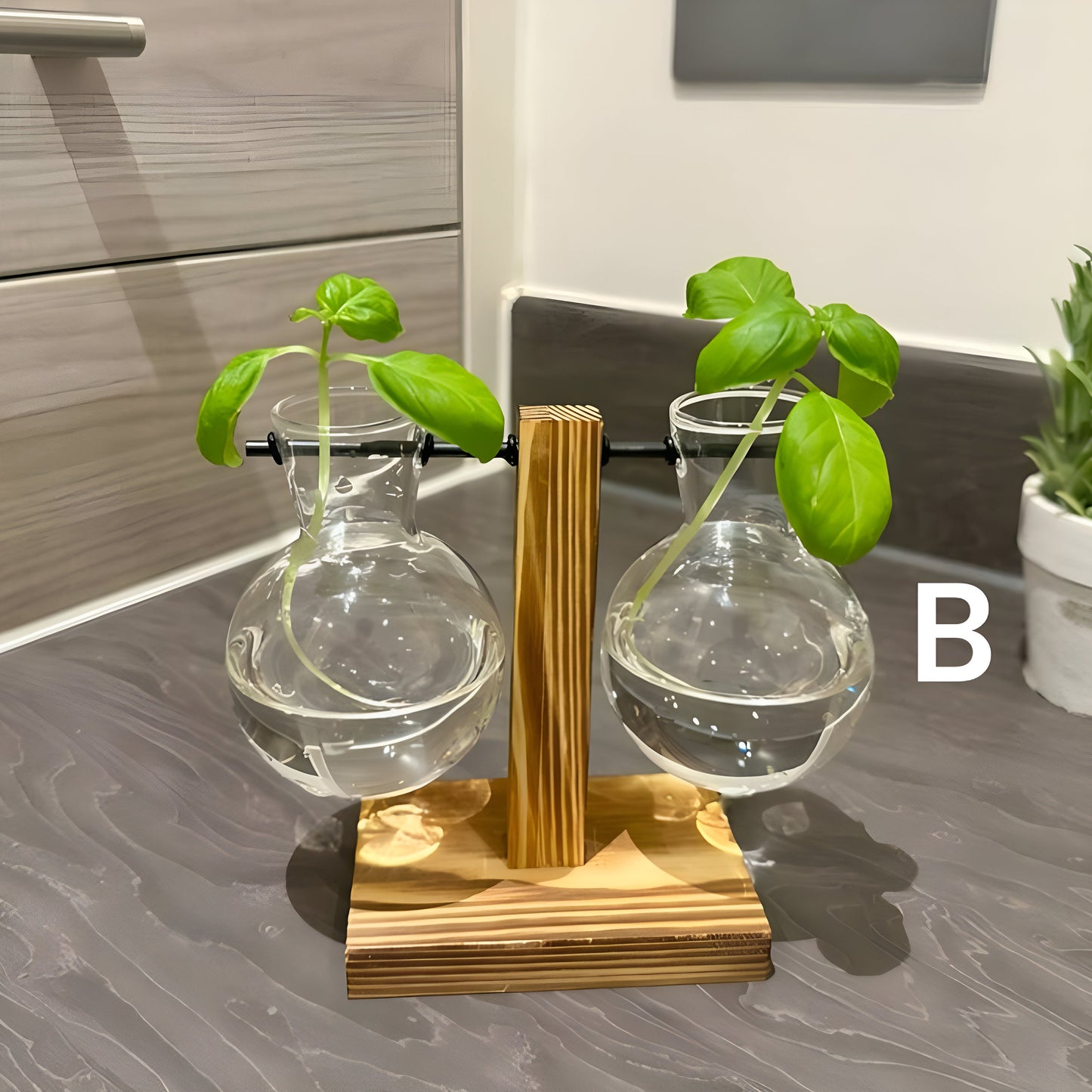 Hydroponic Plant Pot - Plant Propagation Station Hydroponic Gardening Indoor Plant Cuttings Vase Wooden Frame Glass Glass Desk Plant Vase