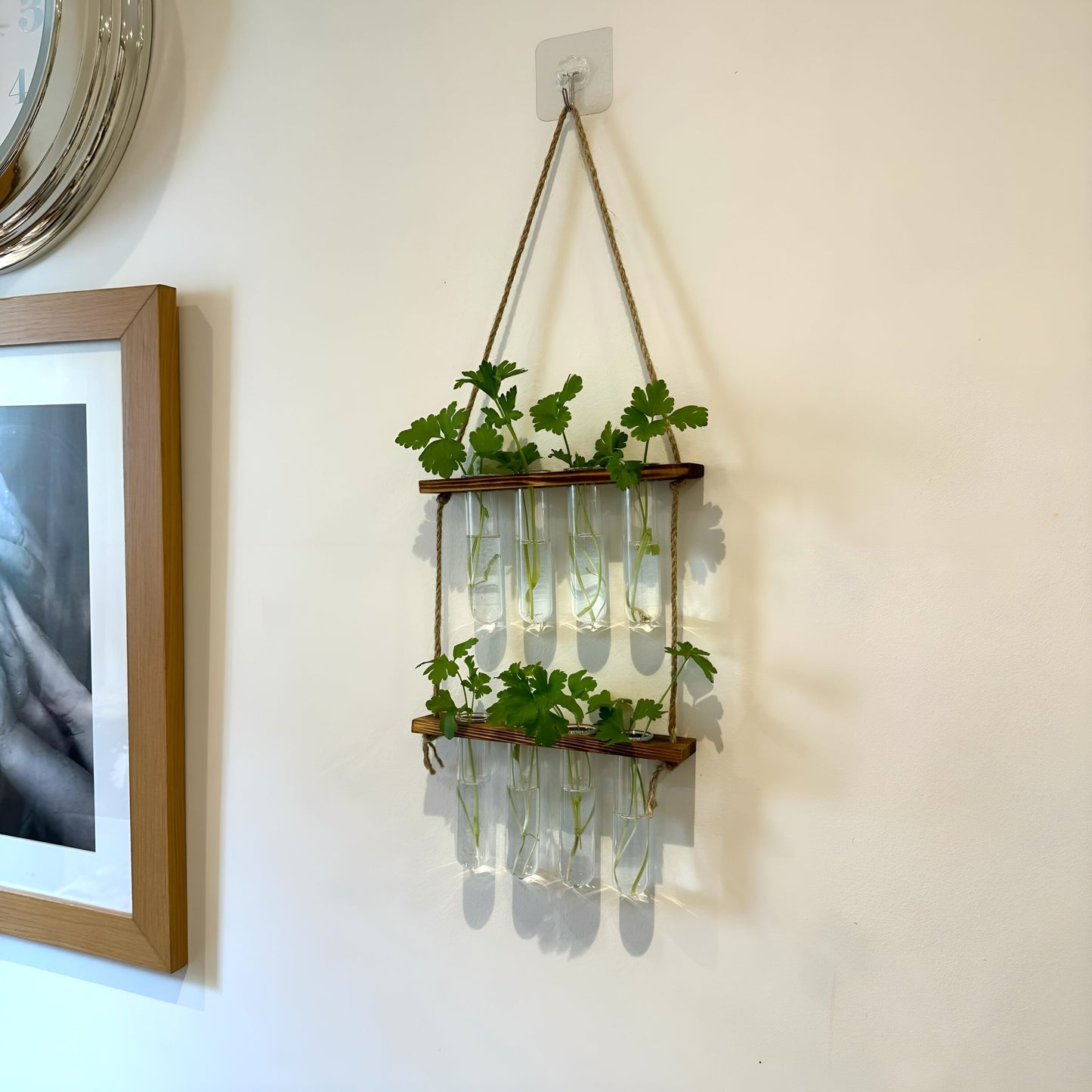 Testtube Vases Hanging Hydroponic System, Test Tube Propagate Plant Clipping Pothos Wall Propagation System