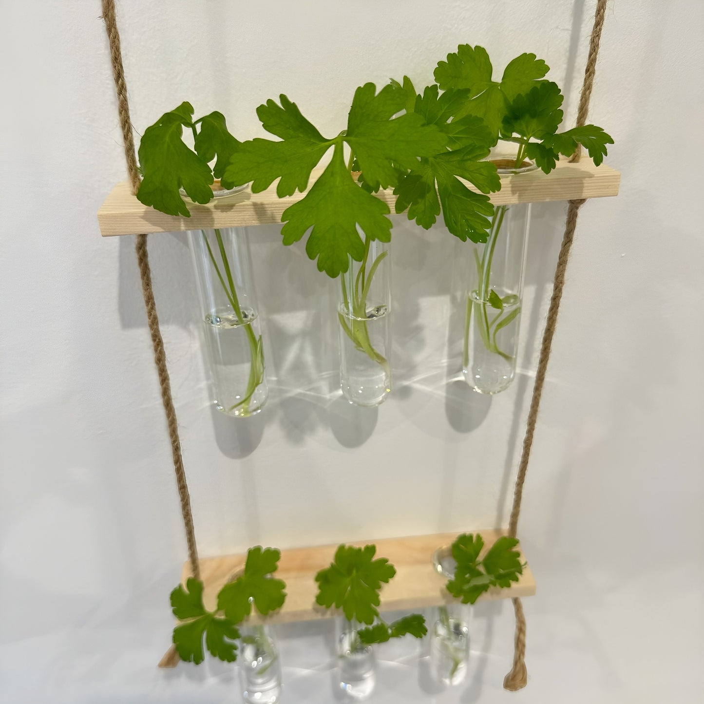 Testtube Vases Hanging Hydroponic System,  Three-Tier Test Tube Propagate Plant Clipping Pothos Wall Propagation System