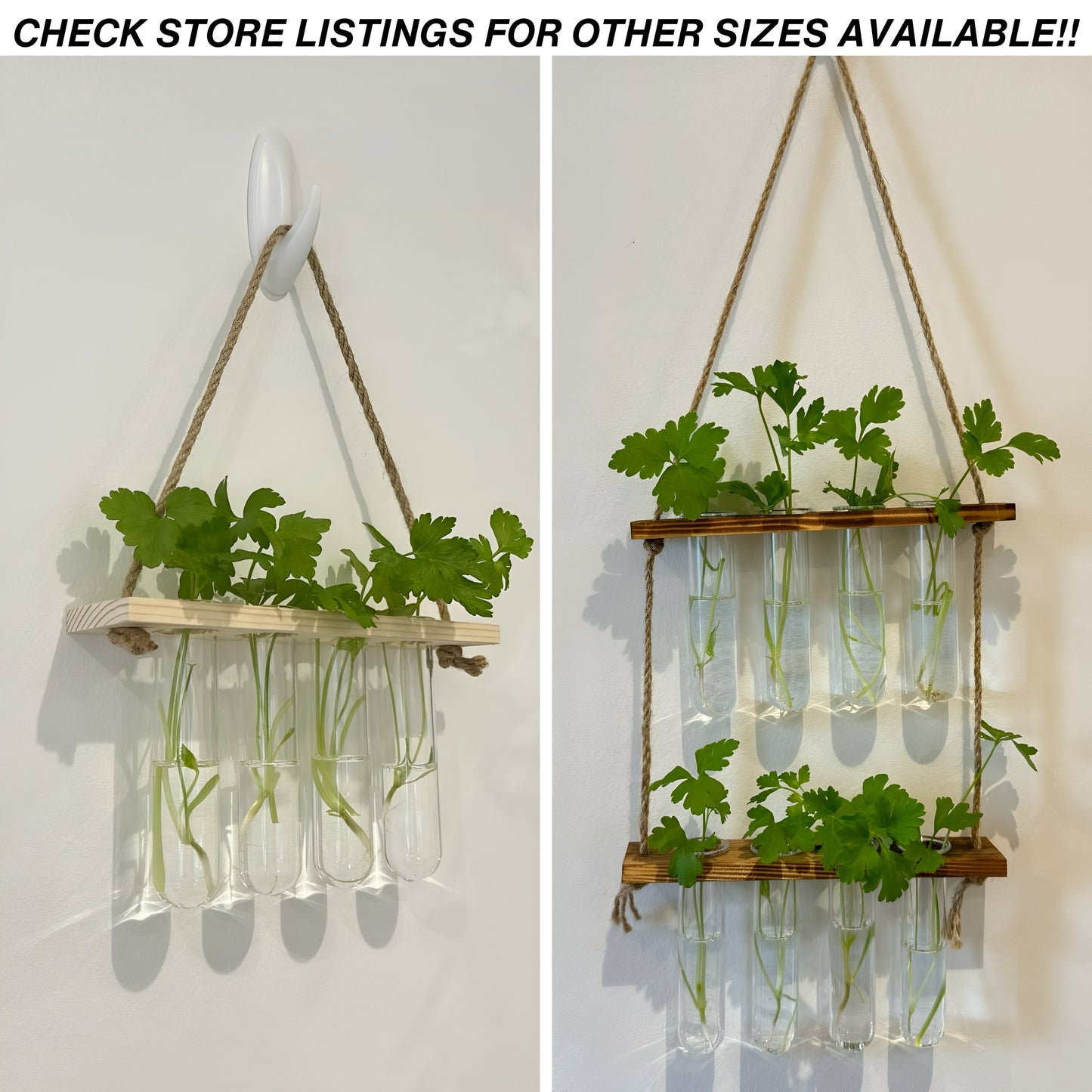 Testtube Vases Hanging Hydroponic System,  Three-Tier Test Tube Propagate Plant Clipping Pothos Wall Propagation System